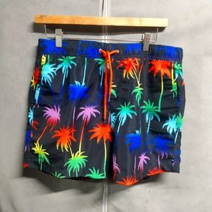 Rainbow Palms swim trunks